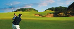 Campi per il golf
