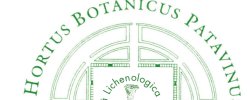 Botanical garden of Padova