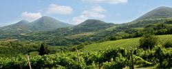 Euganei Hills