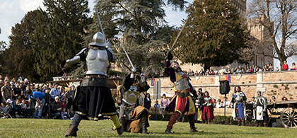 Festa Medievale