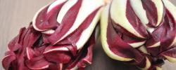 Corso cucina<br>RADICCHIO (24/10/2016)